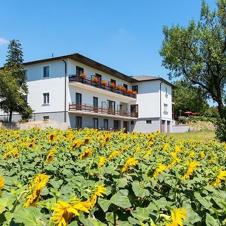 Gasthof-Pension Wein Breitenbrunn  Exterior foto