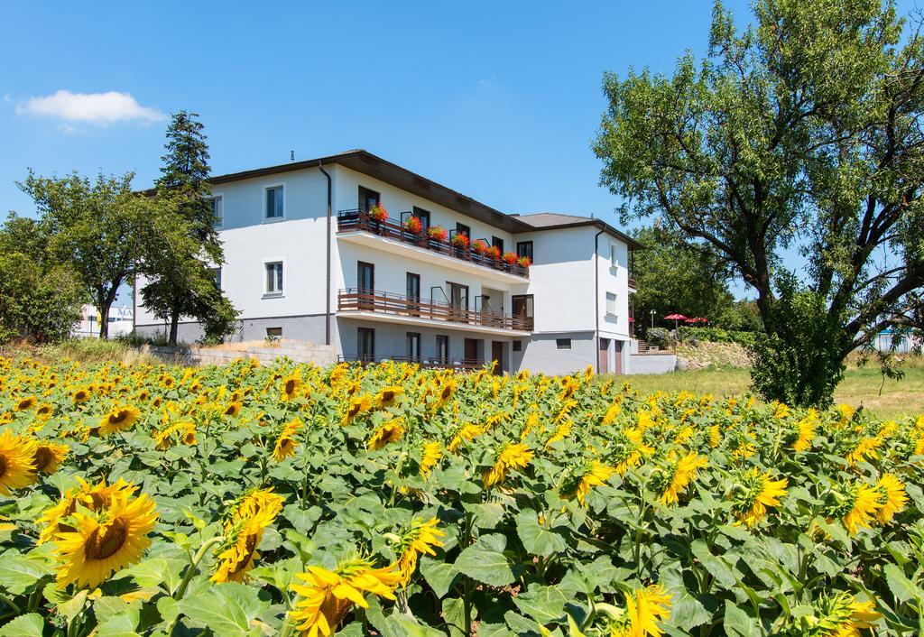 Gasthof-Pension Wein Breitenbrunn  Exterior foto